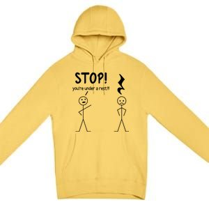 Stop You're Under A Rest Funny Music Musician Stick Cool Gift Premium Pullover Hoodie