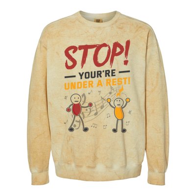 Stop You're Under A Rest Musician Funny Music Pun Meaningful Gift Colorblast Crewneck Sweatshirt