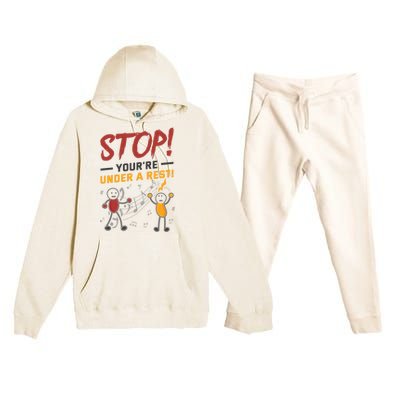 Stop You're Under A Rest Musician Funny Music Pun Meaningful Gift Premium Hooded Sweatsuit Set