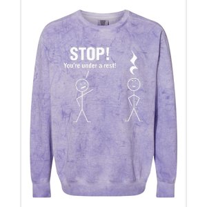 Stop! YouRe Under A Rest! Music Humor Graphic Colorblast Crewneck Sweatshirt