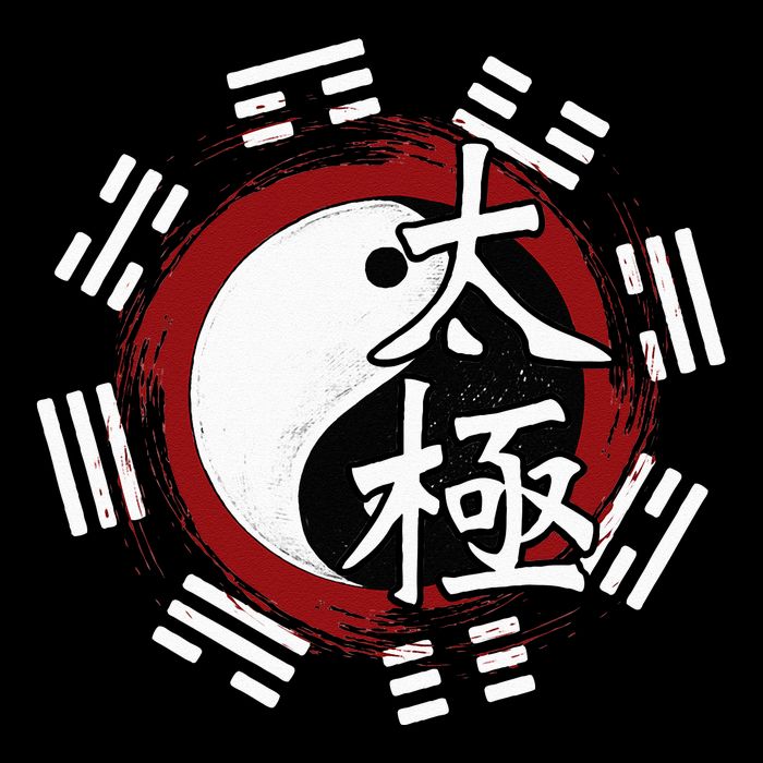Spiritual Yin Yang Tai Chi Master Mind Body Wellness Premium T-Shirt