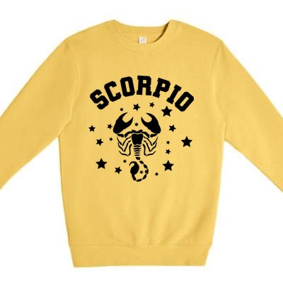 Scorpio Zodiac Astrology Gift Premium Crewneck Sweatshirt