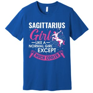 Sagittarius Zodiac Sign Astrology Horoscope Sagittarius Funny Gift Premium T-Shirt