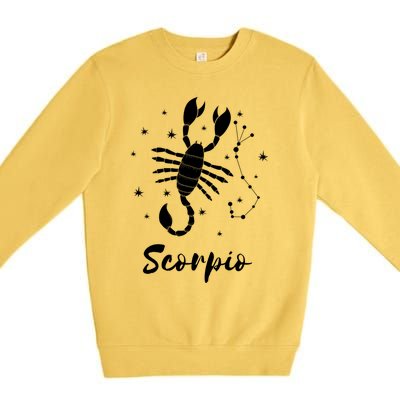 Scorpio Zodiac Sign Gift Premium Crewneck Sweatshirt