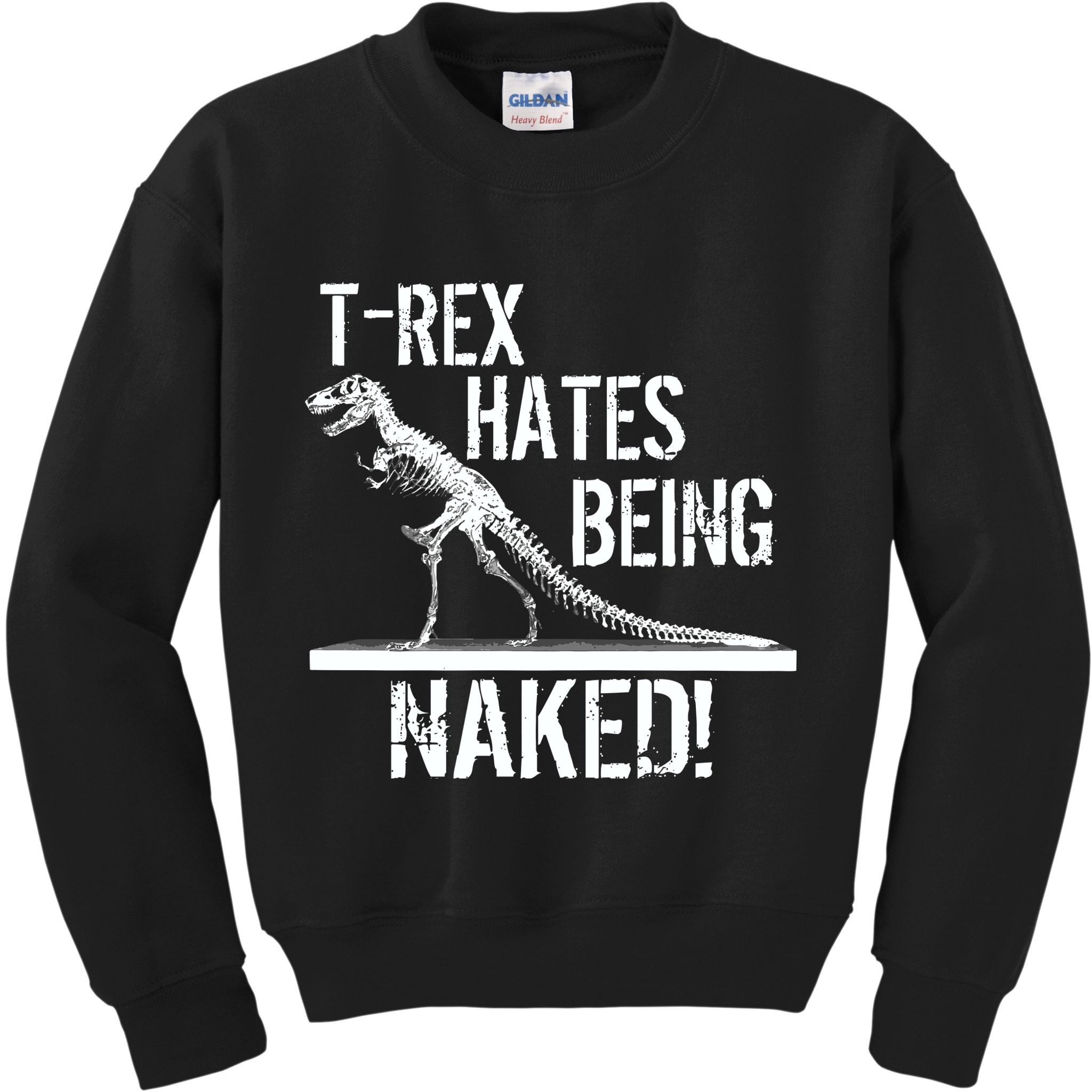 T-Rex Hates Being Naked Kids Sweatshirt