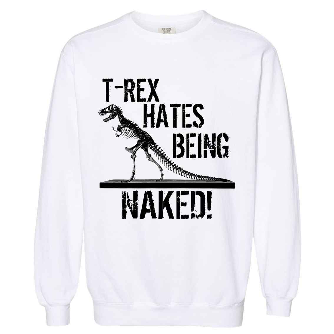 T-Rex Hates Being Naked Garment-Dyed Sweatshirt