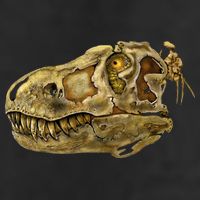 T-Rex Skull Skeleton Head 15oz Campfire Ceramic Mug