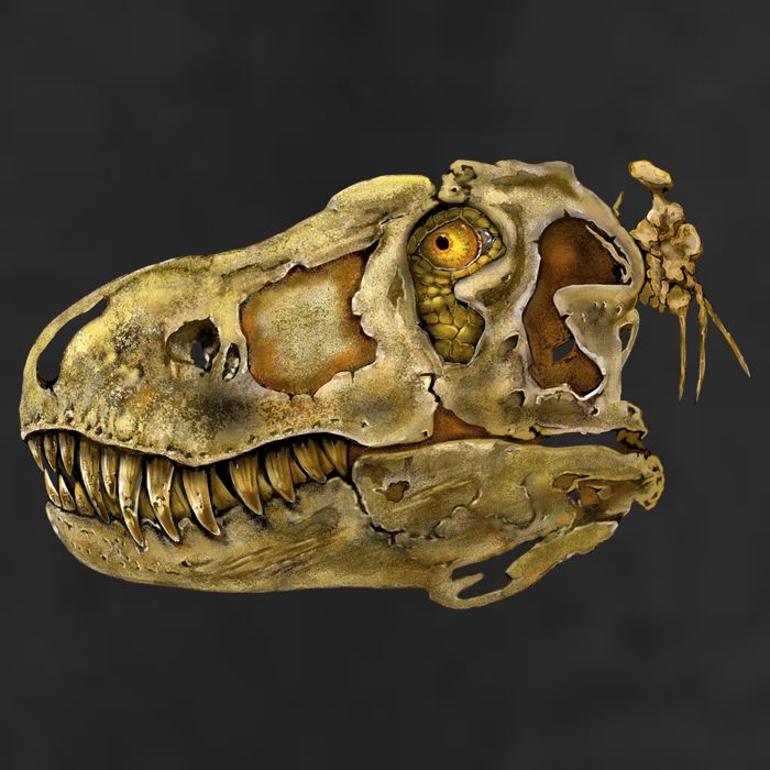 T-Rex Skull Skeleton Head 15oz Campfire Ceramic Mug