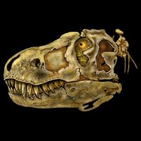 T-Rex Skull Skeleton Head Flatbill Hat