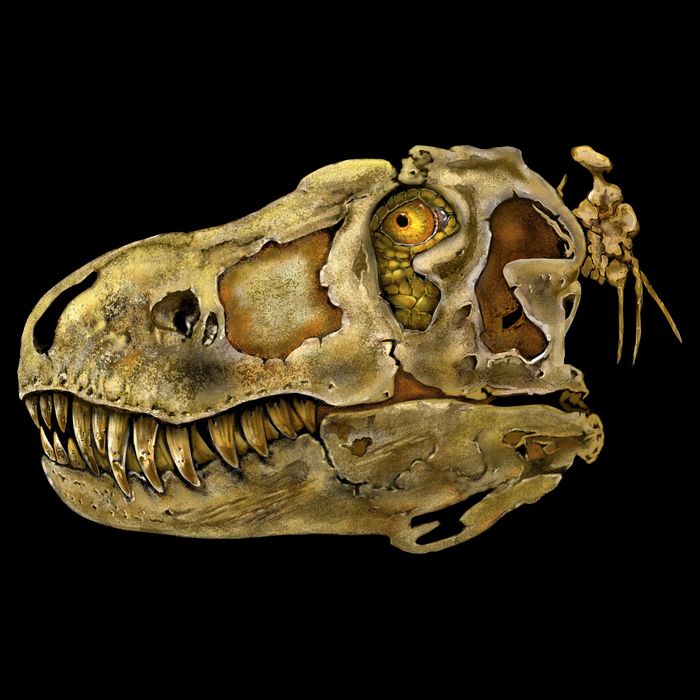T-Rex Skull Skeleton Head Kids T-Shirt