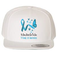 Trisomy 18 Awareness Butterfly Support Light Blue Ribbon Wool Snapback Cap