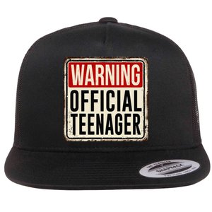 Teenager 13th Birthday Gift 13 Year Old Flat Bill Trucker Hat