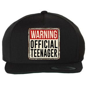 Teenager 13th Birthday Gift 13 Year Old Wool Snapback Cap