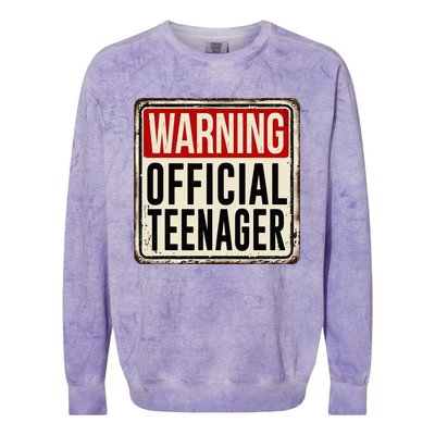 Teenager 13th Birthday Gift 13 Year Old Colorblast Crewneck Sweatshirt