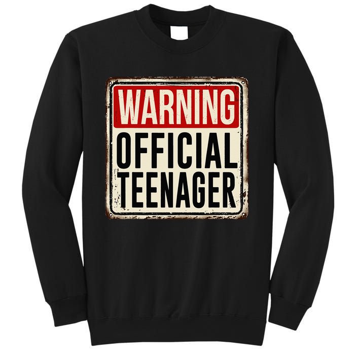 Teenager 13th Birthday Gift 13 Year Old Sweatshirt