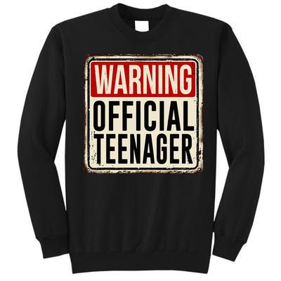 Teenager 13th Birthday Gift 13 Year Old Tall Sweatshirt