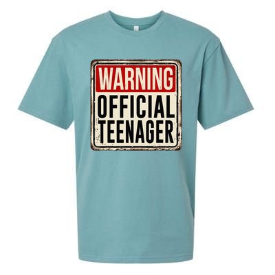 Teenager 13th Birthday Gift 13 Year Old Sueded Cloud Jersey T-Shirt