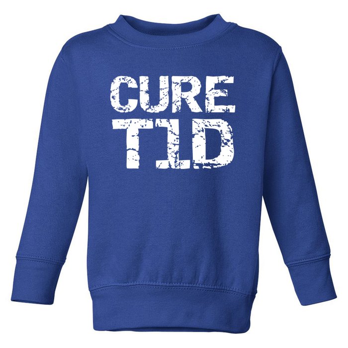 Type 1 Diabetes Awareness Quote For Diabetics Gift Cure T1d Great Gift Toddler Sweatshirt