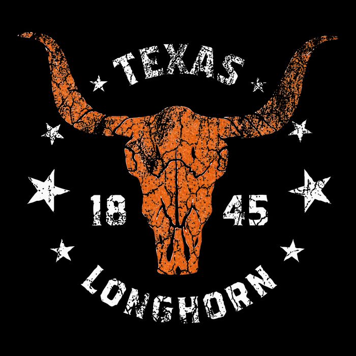 Texas 1845 Vintage Longhorn Cowboy And Rodeo Fan Button