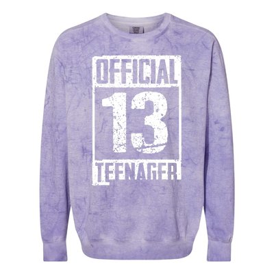 Teenager 13 Years Old Gifts 13th Birthday Boy Girl Colorblast Crewneck Sweatshirt