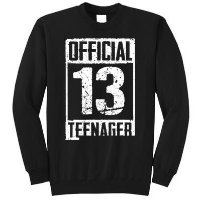 Teenager 13 Years Old Gifts 13th Birthday Boy Girl Tall Sweatshirt