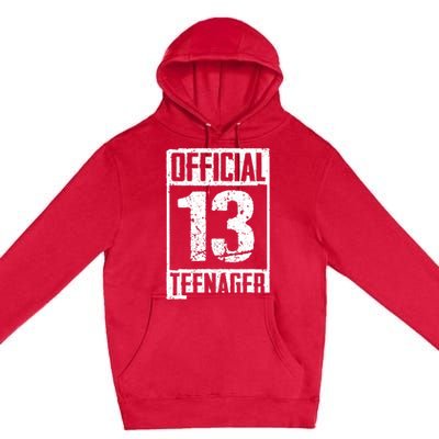 Teenager 13 Years Old Gifts 13th Birthday Boy Girl Premium Pullover Hoodie