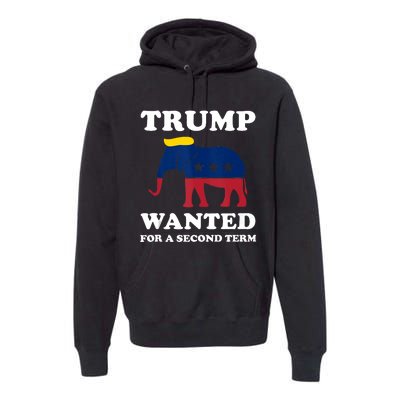 Trump 2024 45 Squared Trump Wanted For Second Term 2024 Premium Hoodie