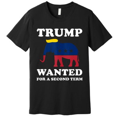 Trump 2024 45 Squared Trump Wanted For Second Term 2024 Premium T-Shirt