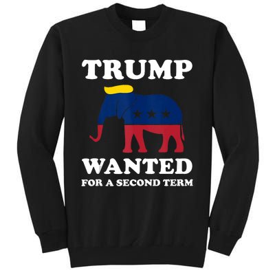 Trump 2024 45 Squared Trump Wanted For Second Term 2024 Tall Sweatshirt