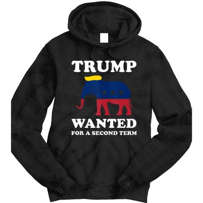 Trump 2024 45 Squared Trump Wanted For Second Term 2024 Tie Dye Hoodie