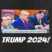 Trump 2024 Arraignment Inside Courthouse Garment-Dyed Heavyweight T-Shirt