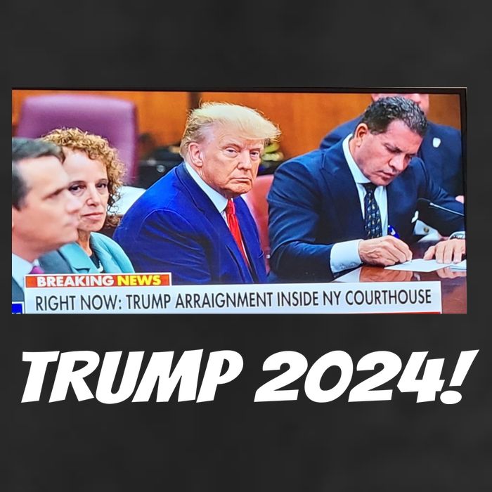 Trump 2024 Arraignment Inside Courthouse Garment-Dyed Heavyweight T-Shirt