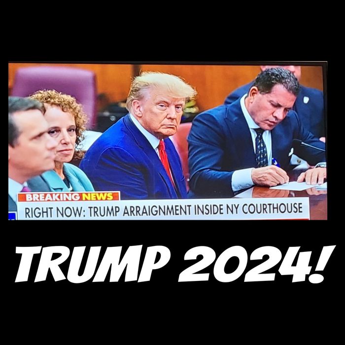 Trump 2024 Arraignment Inside Courthouse Sustainable Bucket Hat