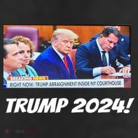 Trump 2024 Arraignment Inside Courthouse Beanie