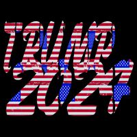 Trump 2024 American Grunge Style Tall Hoodie