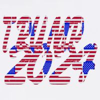 Trump 2024 American Grunge Style Flatbill Hat