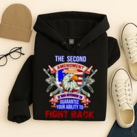 The 2nd Amendment Guarantees Your Ability To Fight Back Hoodie