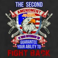 The 2nd Amendment Guarantees Your Ability To Fight Back Adult Drive Performance Visor
