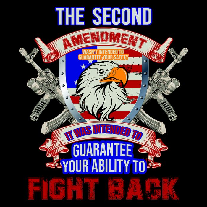 The 2nd Amendment Guarantees Your Ability To Fight Back 16 in Basic Backpack