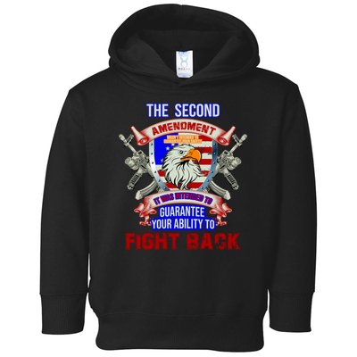 The 2nd Amendment Guarantees Your Ability To Fight Back Toddler Hoodie