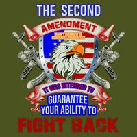 The 2nd Amendment Guarantees Your Ability To Fight Back Sustainable Knit Beanie