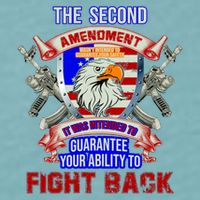 The 2nd Amendment Guarantees Your Ability To Fight Back Sueded Cloud Jersey T-Shirt