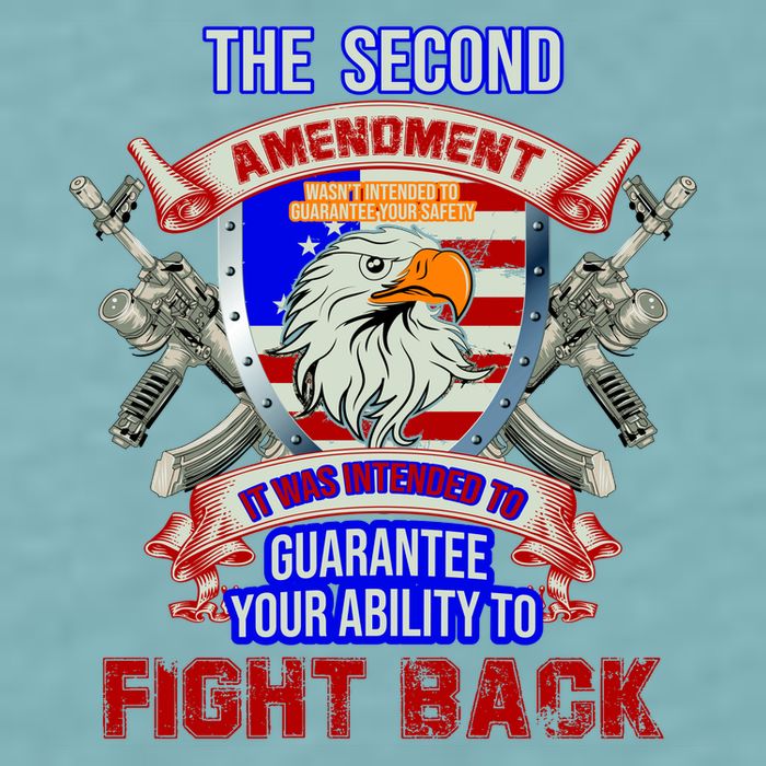 The 2nd Amendment Guarantees Your Ability To Fight Back Sueded Cloud Jersey T-Shirt
