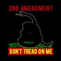 The 2nd Amendment Dont Tread On Me Gadsden Flag Mug