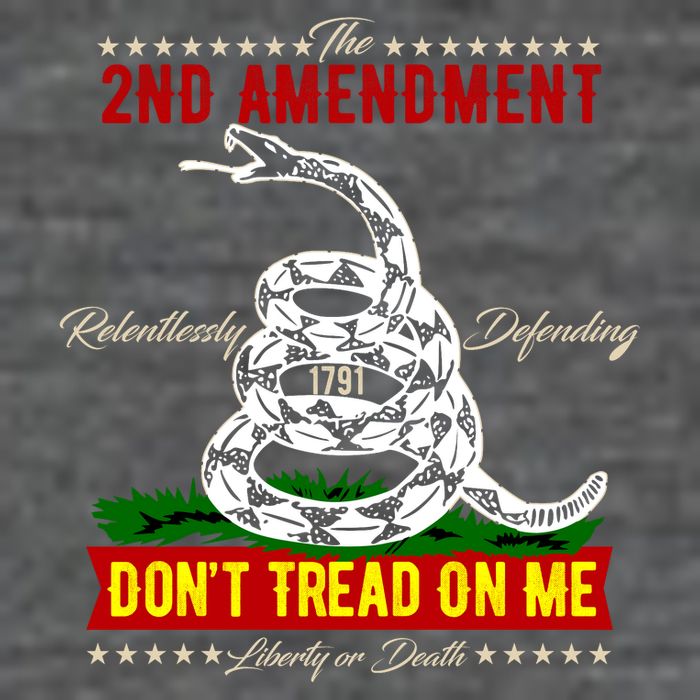 The 2nd Amendment Dont Tread On Me Gadsden Flag Toddler T-Shirt