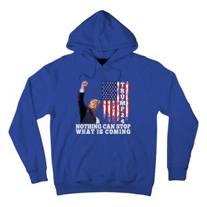 Trump 2024 Butler Pennsylvania Trump Assasination Trump Shot Hoodie