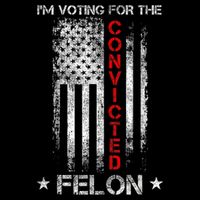 Trump 2024 Convicted Felon IM Voting Convicted Felon 2024 16 in Basic Backpack