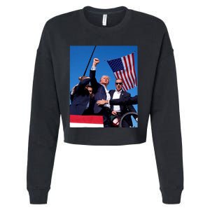 Trump 2024 Donald Trump Fist Pump Cropped Pullover Crew