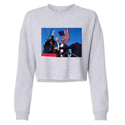 Trump 2024 Donald Trump Fist Pump Cropped Pullover Crew