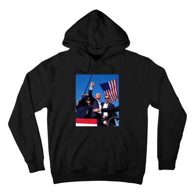 Trump 2024 Donald Trump Fist Pump Hoodie